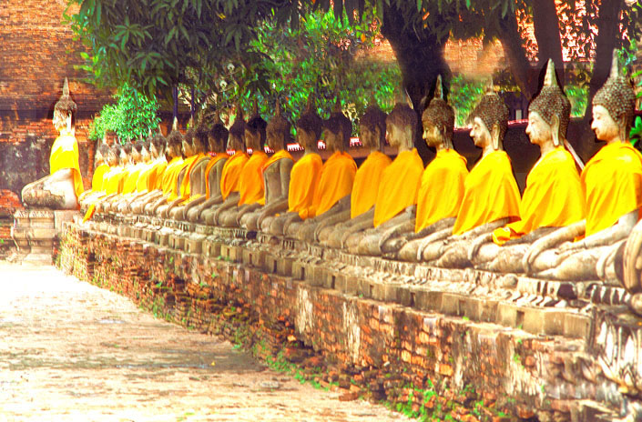 buddasneu464